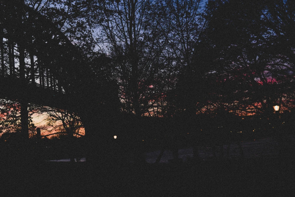 Film photography Astoria